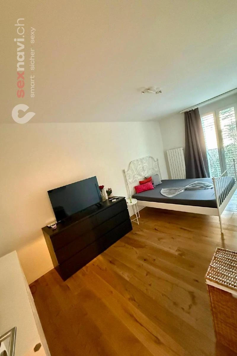 2-Zimmer-Wohnung BS Kernsaniert & m&ouml;bliert Basel, Basel, Schweiz