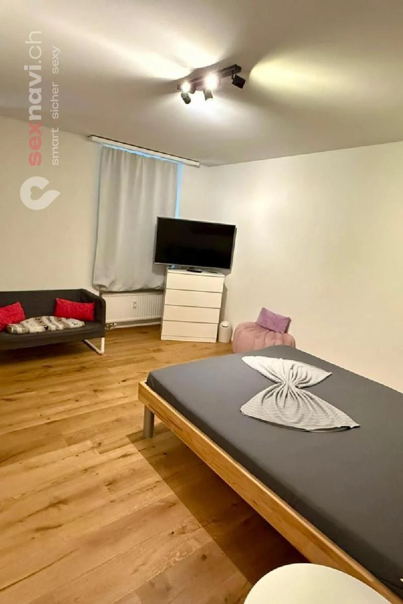 2-Zimmer-Wohnung BS Kernsaniert & m&ouml;bliert Basel, Basel, Schweiz