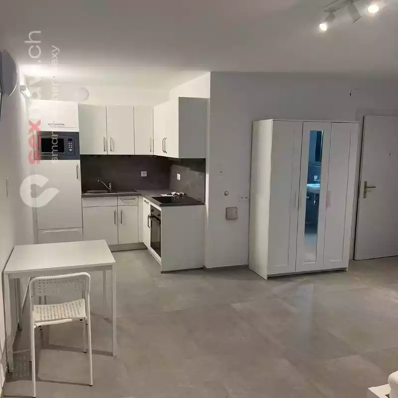 Wohnen und Arbeiten Top renovierte Wohnung Basel Basel, Basel, Schweiz