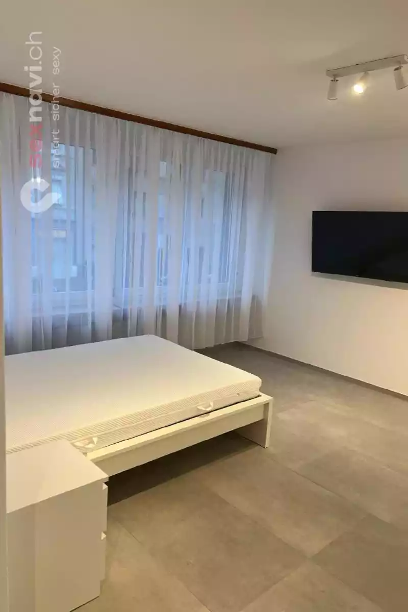 Wohnen und Arbeiten Top renovierte Wohnung Basel Basel, Basel, Schweiz