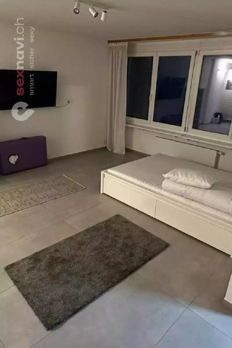 Wohnen und Arbeiten Top renovierte Wohnung Basel Basel, Basel, Schweiz