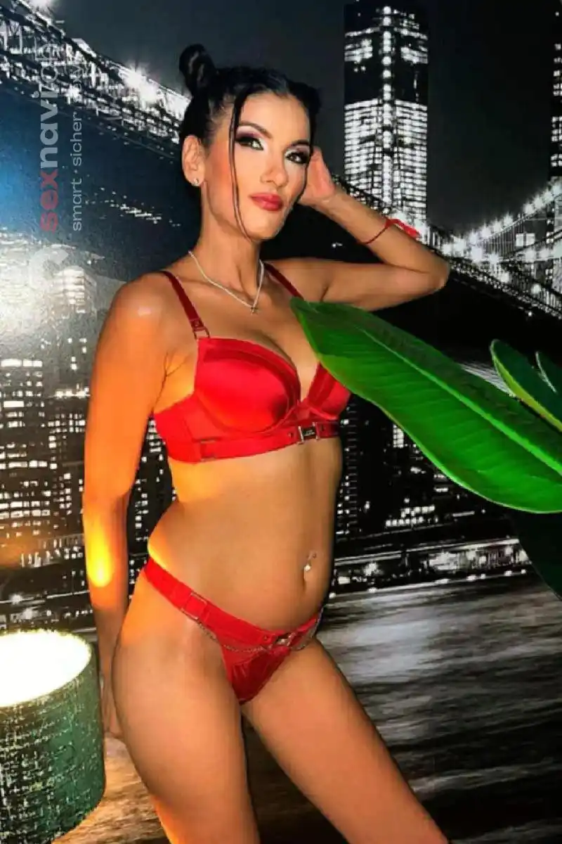 CINDY Schwanzgierig und eng gebaut Z&uuml;rich Umgebung, Schaffhausen, Z&uuml;rich Stadt, Schweiz, Thayngen