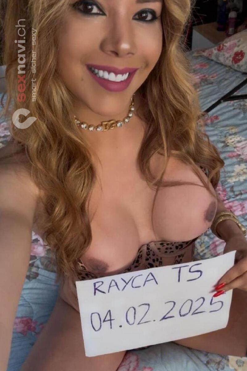 Ts Rayca Schmutzige Katze 😈 St.Gallen, Glarus, Graub&uuml;nden, St. Margrethen SG, Schweiz