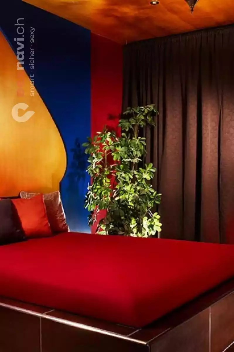 SEX PARK CLUB NO 1 MITTELLAND Z&uuml;rich Stadt, Aargau, Schweiz, Solothurn, Oberentfelden