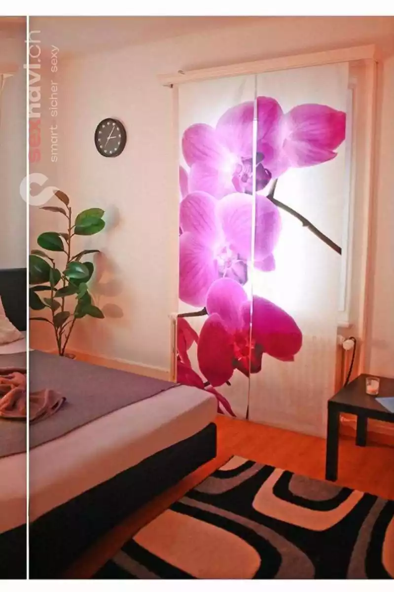 Girls mit Klasse ⭐ Guter Verdienst ⭐ Österreich, Schweiz, Luzern , Eschenbach LU