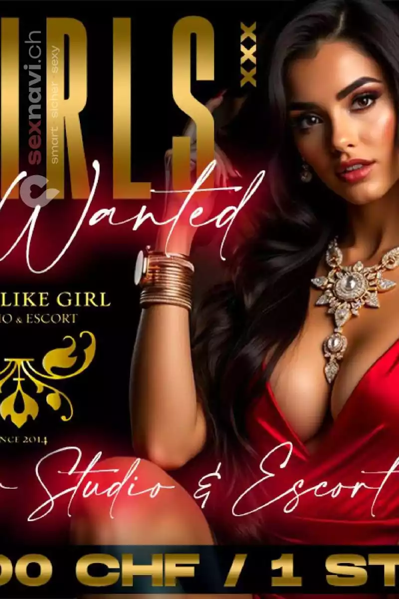 Winterthur / Z&uuml;rich Prozent % T&auml;glich auszahlung Z&uuml;rich Umgebung, Winterthur, Deutschland, Schweiz