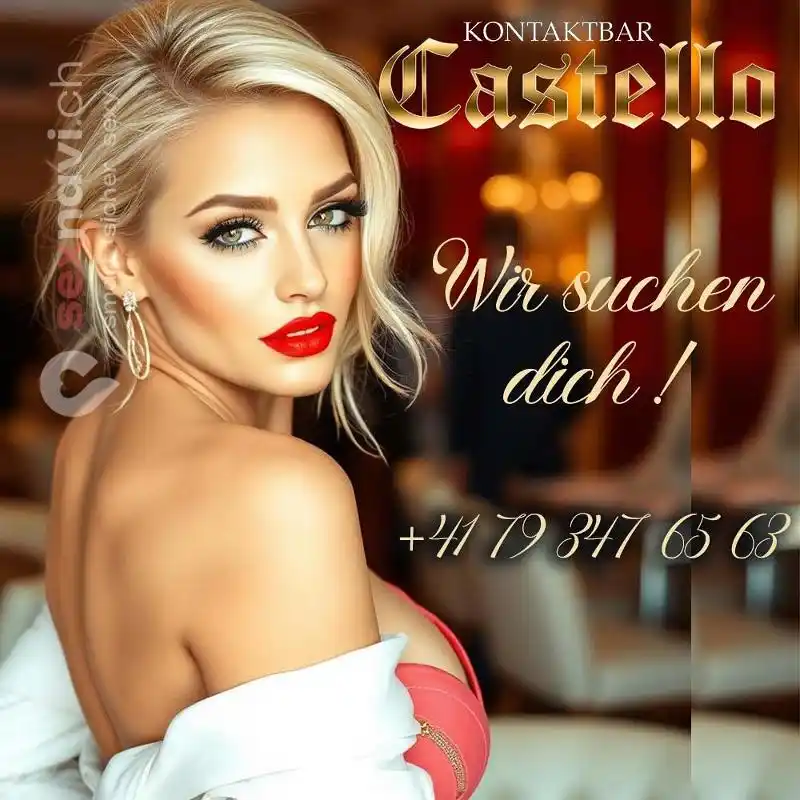 Risikofreie Arbeit Grosse Stammkundschaft Schweiz, Luzern , Brunnen, Schwyz