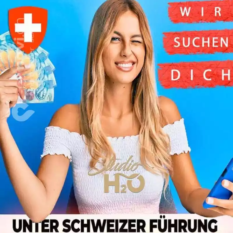 Schweizer F&uuml;hrung Kleines Team Othmarsingen, Aargau, Schweiz