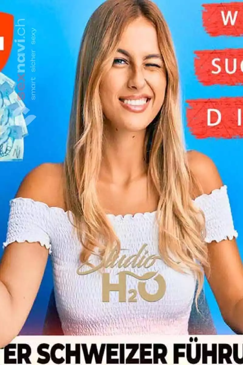 Schweizer F&uuml;hrung Kleines Team Othmarsingen, Aargau, Schweiz