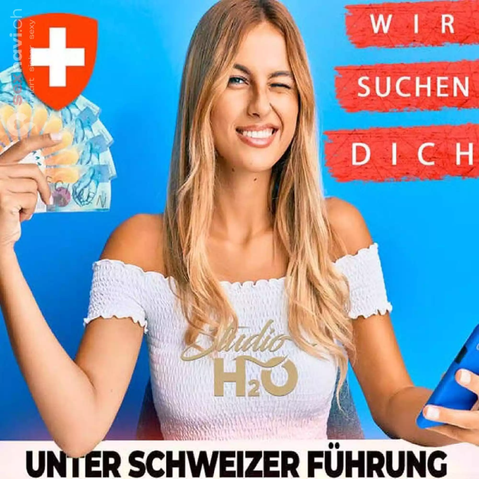 Schweizer F&uuml;hrung Kleines Team Othmarsingen, Aargau, Schweiz