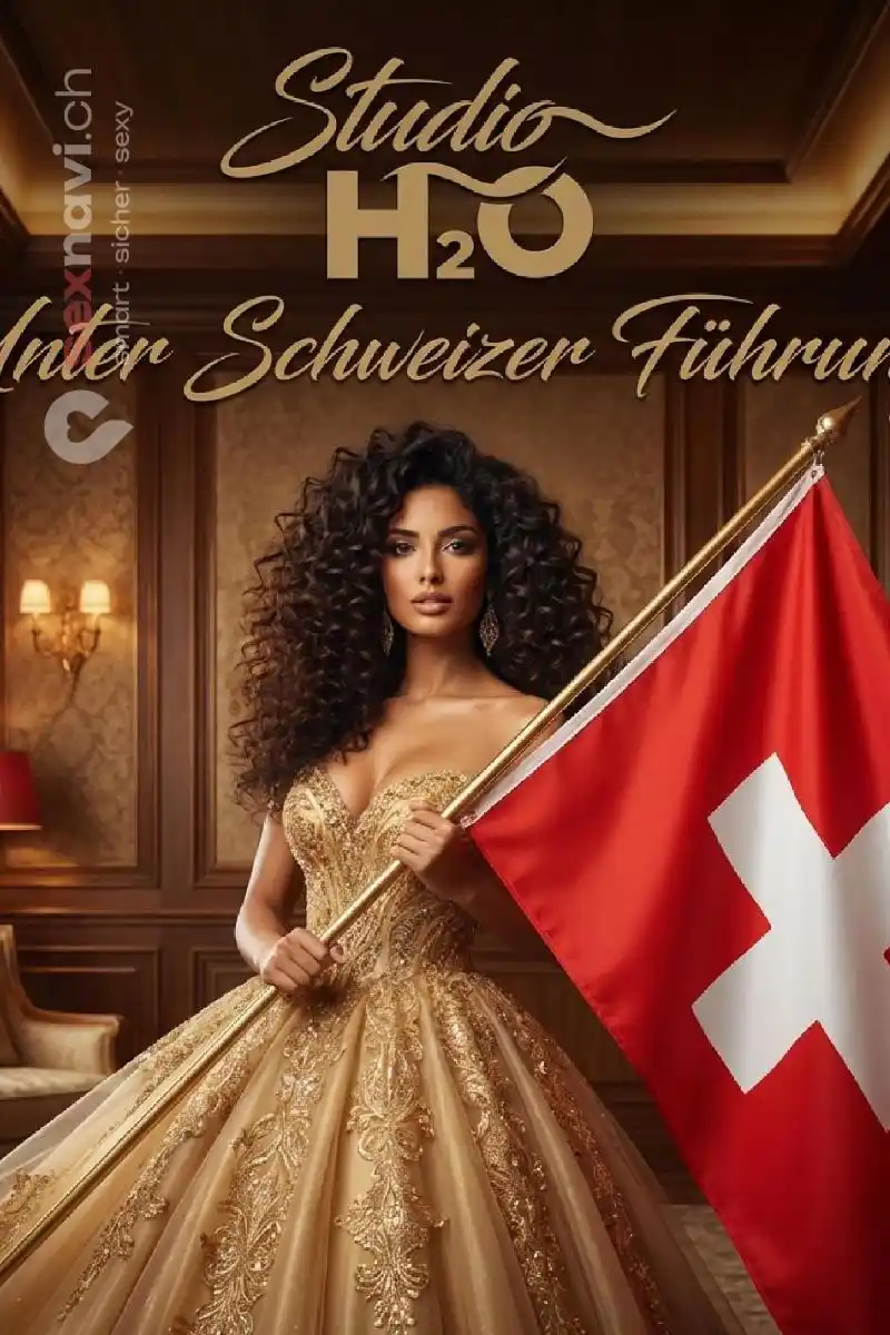 Schweizer F&uuml;hrung Kleines Team Othmarsingen, Aargau, Schweiz