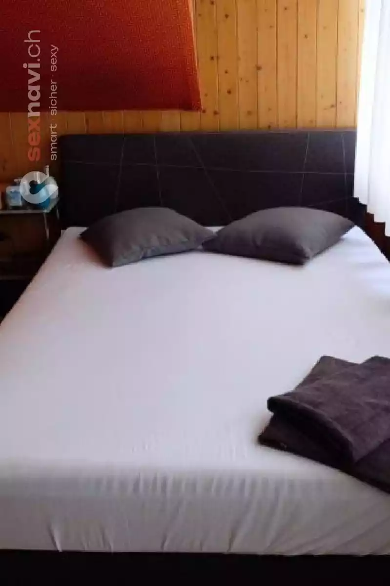 Schweizer F&uuml;hrung Kleines Team Othmarsingen, Aargau, Schweiz