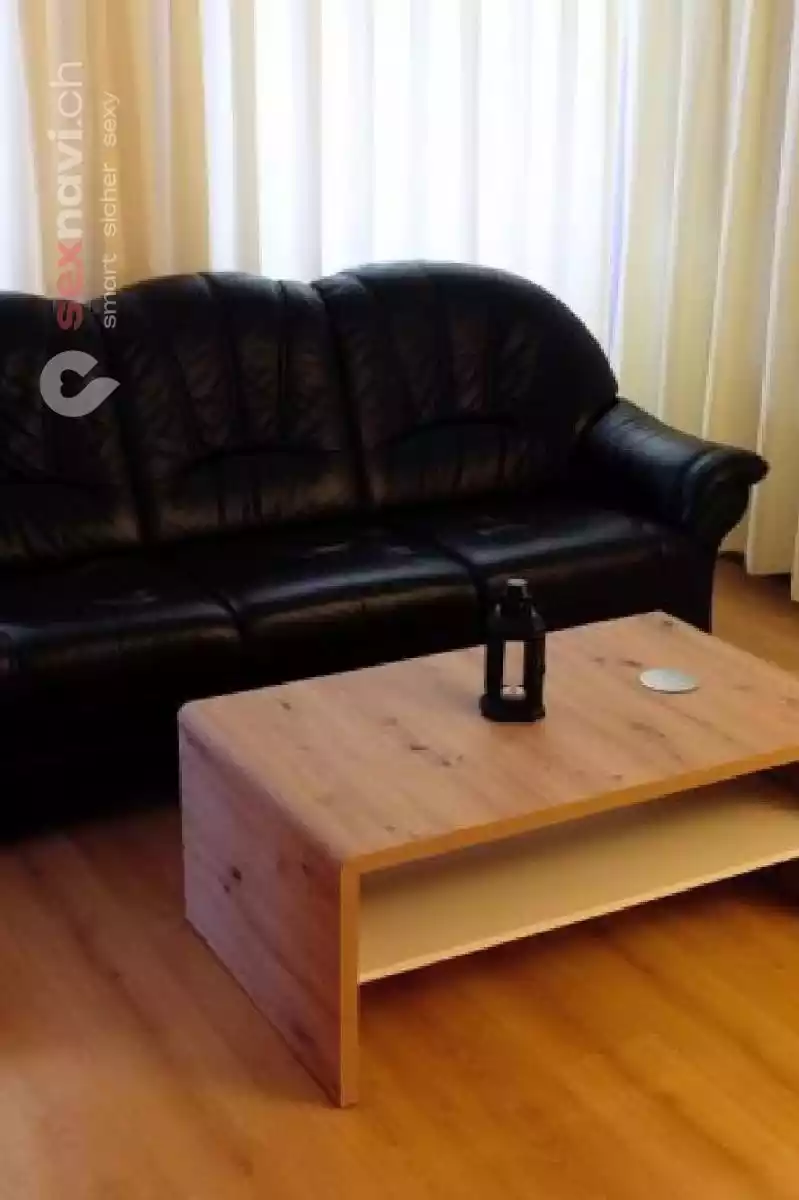 Schweizer F&uuml;hrung Kleines Team Othmarsingen, Aargau, Schweiz