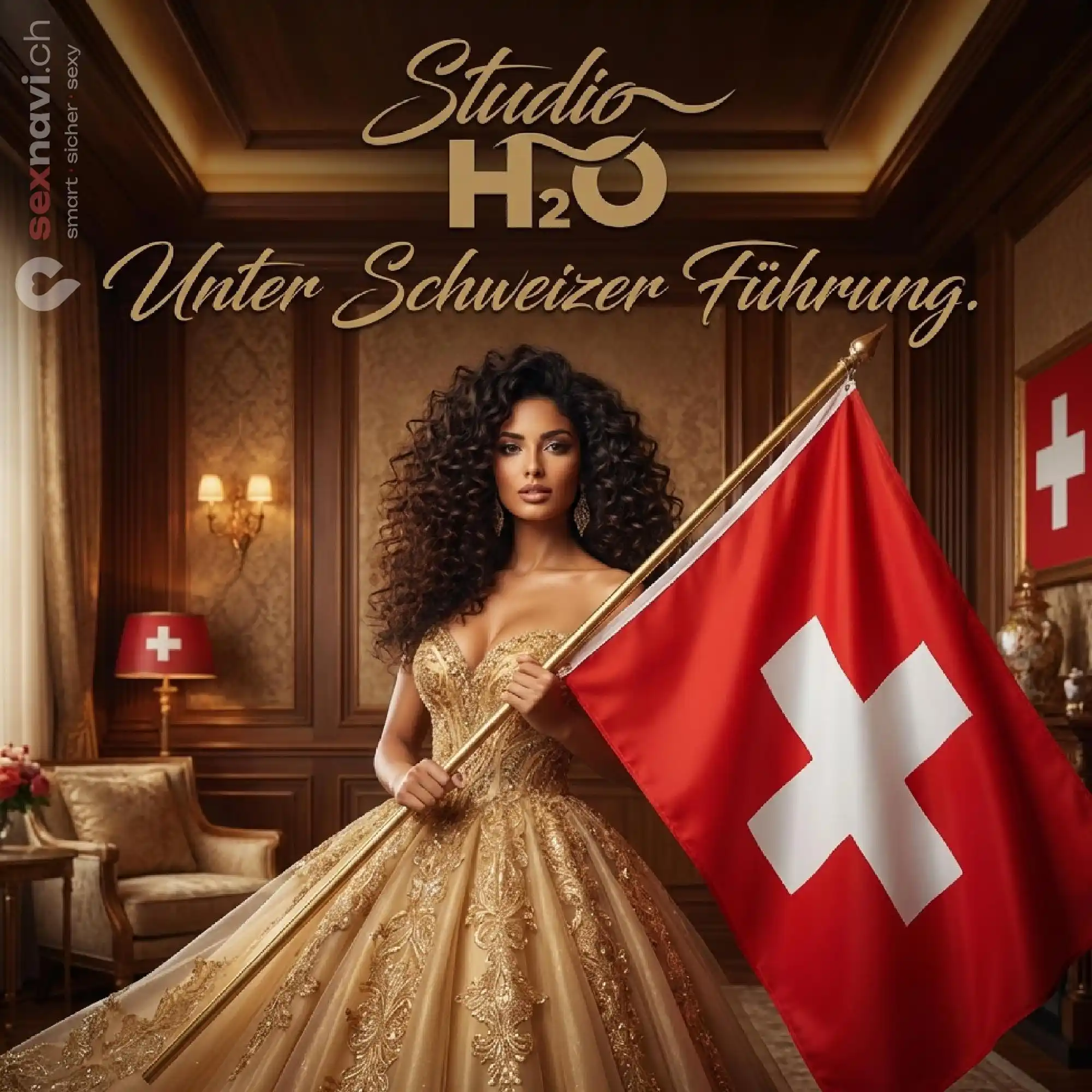 Schweizer F&uuml;hrung Kleines Team Othmarsingen, Aargau, Schweiz