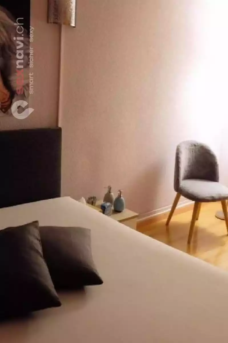 Schweizer F&uuml;hrung Kleines Team Othmarsingen, Aargau, Schweiz