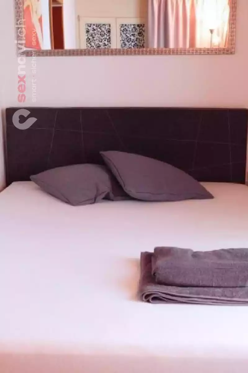 Schweizer F&uuml;hrung Kleines Team Othmarsingen, Aargau, Schweiz