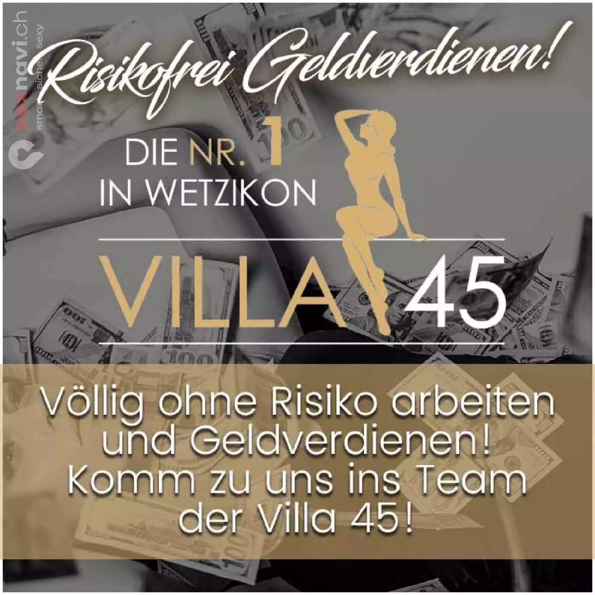 Top Job in der Villa 🌟 Gutes Geld verdienen 🌟 Z&uuml;rich Umgebung, Schweiz, Wetzikon ZH