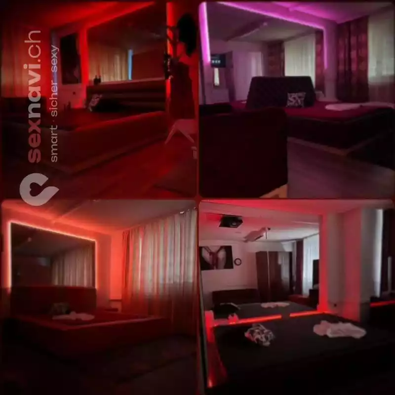 Dreamhouse Hergiswil Sofort viel Geld verdienen Nidwalden, Hergiswil NW, Schweiz, Luzern , Obwalden